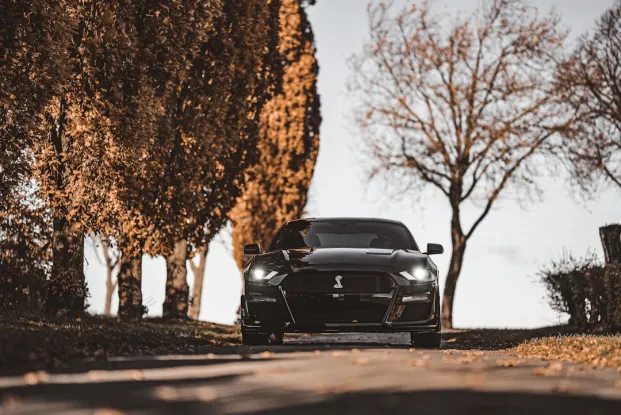 HippoZino Kasino Android/iOS Sovellus